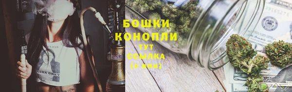 дурь Бородино