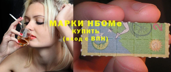 дурь Бородино