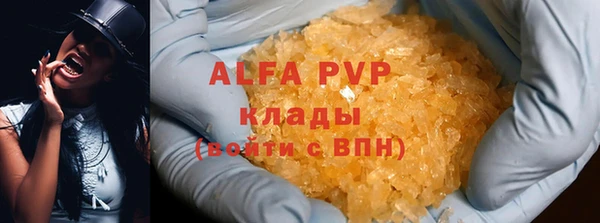дурь Бородино