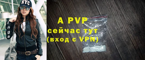 дурь Бородино