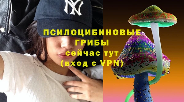 МДПВ Бронницы