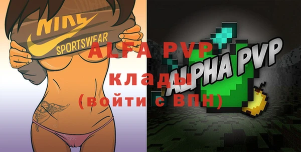 дурь Бородино