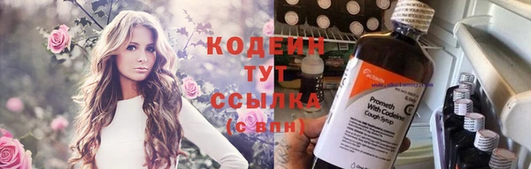 дурь Бородино