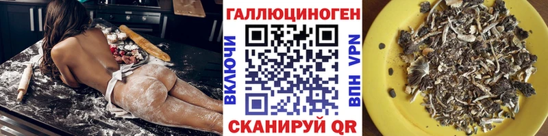 kraken рабочий сайт Нея shop формула Галлюциногенные грибы мухоморы